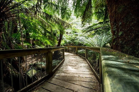 Melbourne To Adelaide South East Coast 3 Day Overland Tour - eAccommodation 1