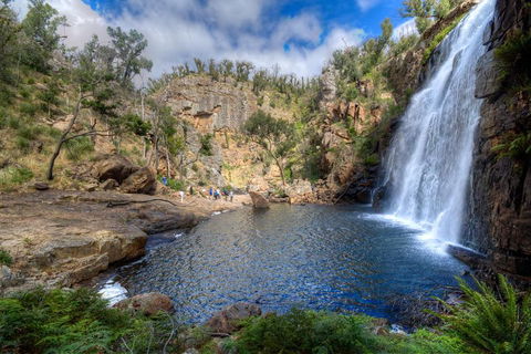 Melbourne To Adelaide South East Coast 3 Day Overland Tour - eAccommodation 4