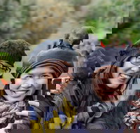 Small-Group Great Ocean Road and 12 Apostles Full-Day Tour from Melbourne - eAccommodation