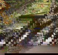 Adelaide Highlights Hahndorf  McLaren Vale Wine Tasting and Sightseeing Tour - eAccommodation