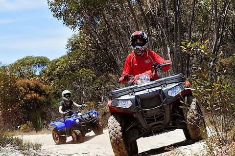 Kangaroo Island Quad Bike (ATV) Tours - eAccommodation 5