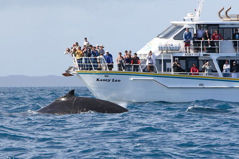 Phillip Island Whale Watching Tour - eAccommodation 4
