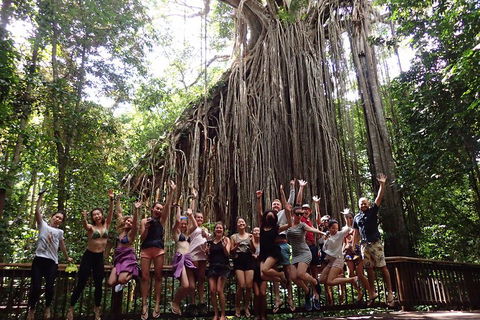Atherton Tablelands Waterfalls Tour From Cairns - eAccommodation 5