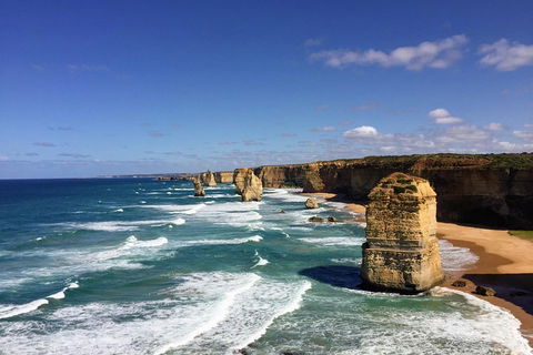 Great Ocean Road Reverse Itinerary PREMIUM Tour - eAccommodation 2
