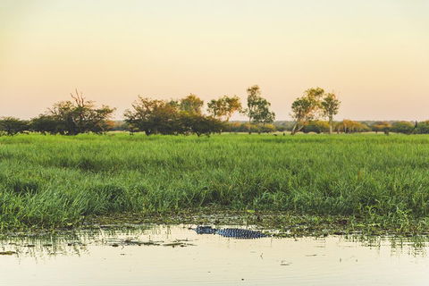 Yellow Water Cruise - Kakadu - eAccommodation 3