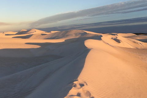 Pinnacles Desert Private Tour - eAccommodation 1