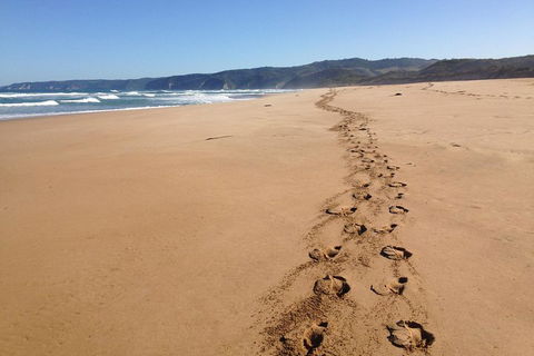 Private Great Ocean Road Full Day Tour - 1 Day Tour - eAccommodation 5