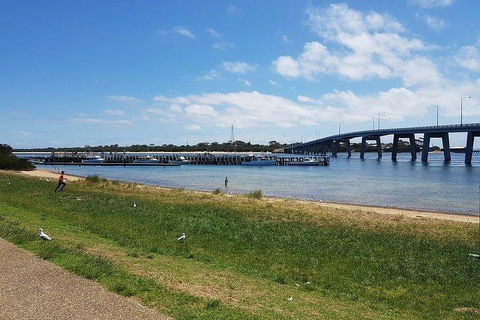 Phillip Island Penguin And Wildlife Tour - eAccommodation 4