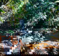 Aquaduck  Your choice of Gold Coast Rainforest Tour - eAccommodation