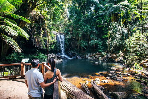 Aquaduck & Your Choice Of Gold Coast Rainforest Tour - eAccommodation 0