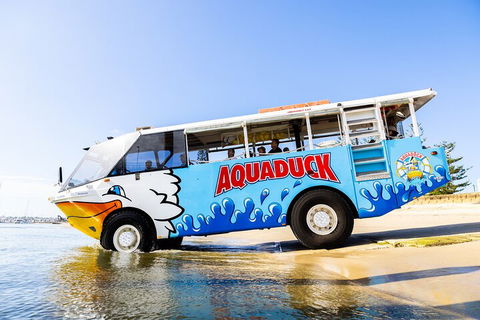 Aquaduck & Your Choice Of Gold Coast Rainforest Tour - eAccommodation 3