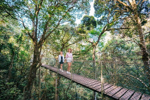 Aquaduck & Your Choice Of Gold Coast Rainforest Tour - eAccommodation 4