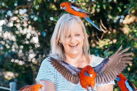Aquaduck & Your Choice Of Gold Coast Rainforest Tour - eAccommodation 5