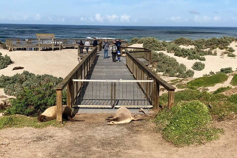 Kangaroo Island 4WD Tour - Best Of KI - eAccommodation 2