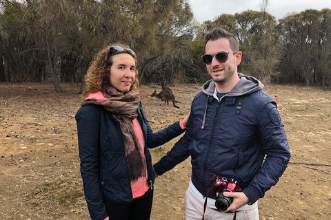 Kangaroo Island 4WD Tour - Best Of KI - eAccommodation 3