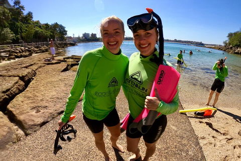 Manly Snorkel Trip And Nature Walk With Local Guide - eAccommodation 1
