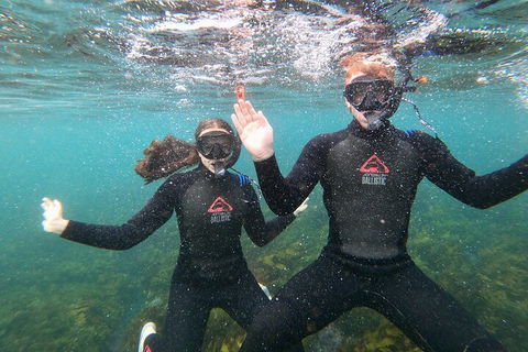 Manly Snorkel Trip And Nature Walk With Local Guide - eAccommodation 3