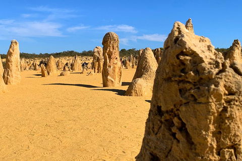 Pinnacles Desert (Private) Day Tour - eAccommodation 0