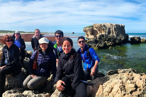 Pinnacles Desert (Private) Day Tour - eAccommodation 4