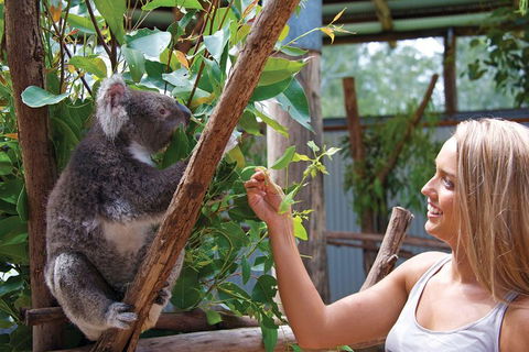 Private Guided Tour: Blue Mountains Tour From Sydney - eAccommodation 5