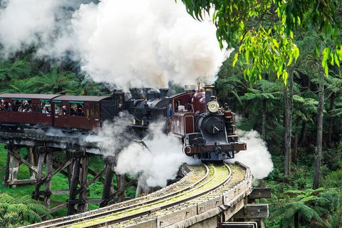 Puffing Billy And Healesville Sanctuary Scenic Tour - eAccommodation 1