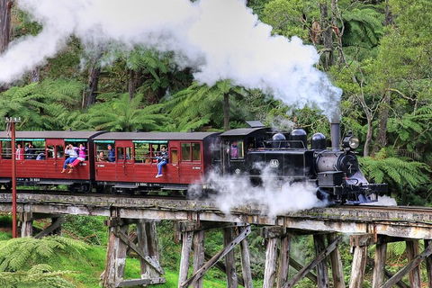 Puffing Billy And Healesville Sanctuary Scenic Tour - eAccommodation 2