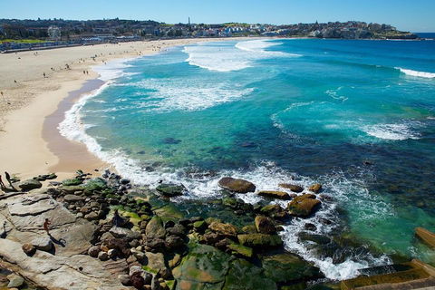 Private Sydney Foreshores And Beaches SUV Tour - eAccommodation 0