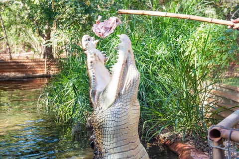 3 In 1 Tour: Matsoâ€™s Brewery, Broome Museum & Malcolm Douglas Crocodile Park - eAccommodation 3