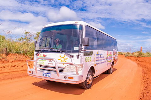 Malcolm Douglas Crocodile Park Tour Including Transportation - eAccommodation 3