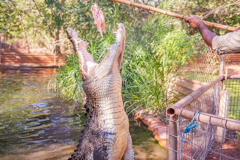 Malcolm Douglas Crocodile Park Tour Including Transportation - eAccommodation 5