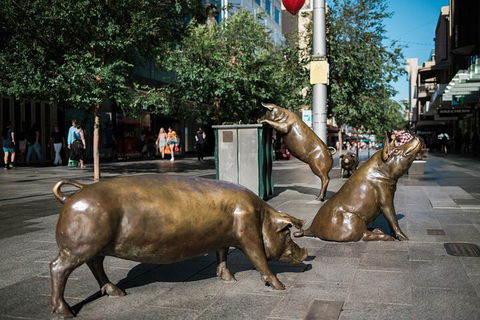 Guided Walking Tour In Adelaide - eAccommodation 4
