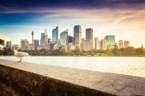 Private Sydney City And Bondi Beach Half Day Tour - eAccommodation 2