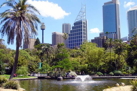 Private Sydney Half Day Tour Including Sydney Opera House And Bondi Beach - eAccommodation 4