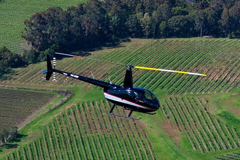Hunter Valley Wine Country Helicopter Flight From Cessnock - eAccommodation 3