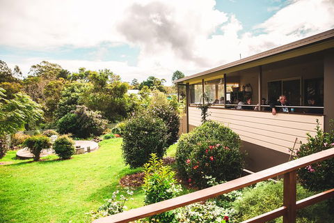 Full-day Springbrook National Park Tour From The Gold Coast - eAccommodation 2