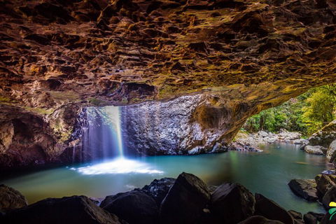 Full-day Springbrook National Park Tour From The Gold Coast - eAccommodation 3