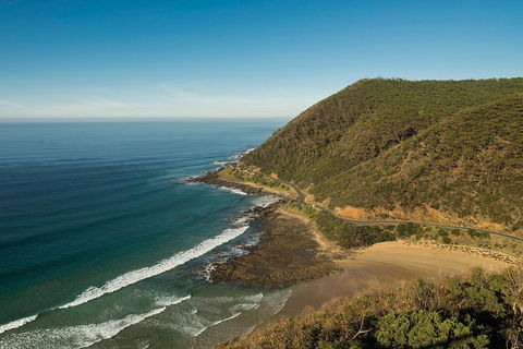 Great Ocean Road Adventure - Private Tour - Reverse - eAccommodation 2