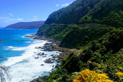 Great Ocean Road Adventure - Private Tour - Reverse - eAccommodation 3