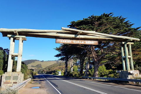 Great Ocean Road Adventure - Private Tour - Reverse - eAccommodation 5