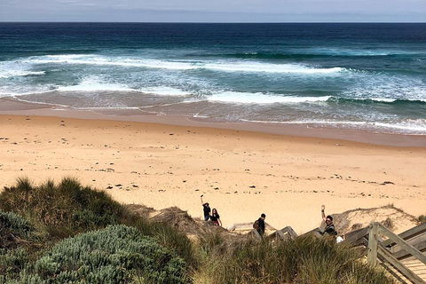 Phillip Island Penguins Private Tour - eAccommodation 4