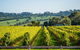 Private Tours From Melbourne - thumb 1
