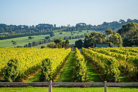 Private Tours From Melbourne - eAccommodation 1