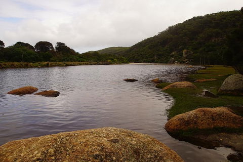 Private Tours From Melbourne - eAccommodation 2