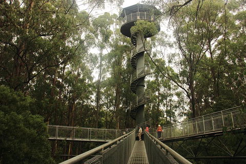 Private Tours From Melbourne - eAccommodation 5