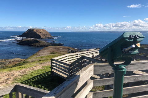 Private Phillip Island Tour - eAccommodation 4