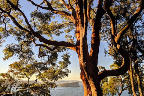 Manly & Sydney's Northern Beaches With 'Personalised Sydney Tours' - eAccommodation 4