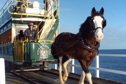 Full-Day Tour In South Australia Highlights - eAccommodation 1