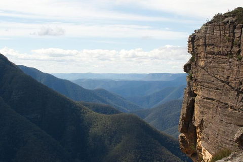 Inside The Greater Blue Mountains World Heritage - A Private Wildlife Safari Overnight - eAccommodation 4