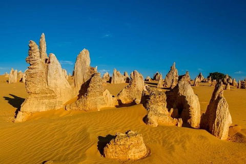 Pinnacle Desert Sunset And Stargazing With Dinner - eAccommodation 3