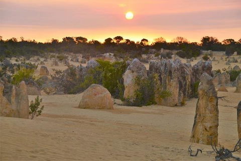 Pinnacle Desert Sunset And Stargazing With Dinner - eAccommodation 5